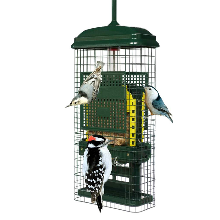 Brome Squirrel Buster Suet Feeder