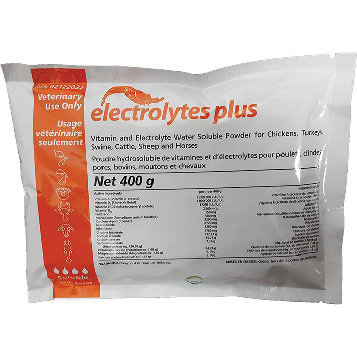Vetoquinol Electrolytes Plus Soluble Powder 400g