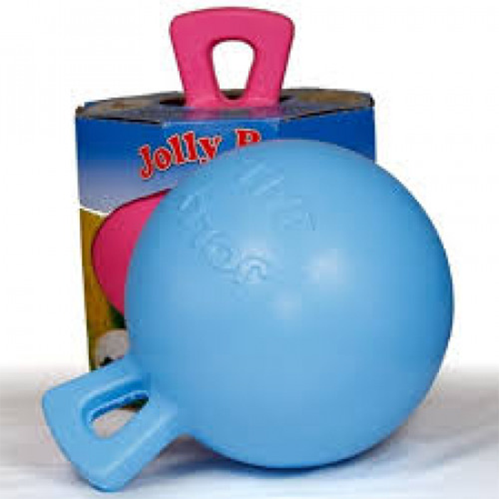 Horse Jolly Ball Blueberry Scent 10''
