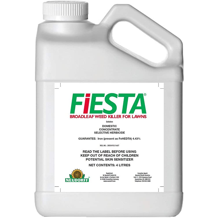 FIESTA   4 LITRE