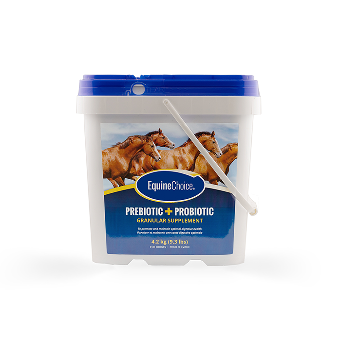 Equine Choice Pre & Probiotic Supplement 4.2kg