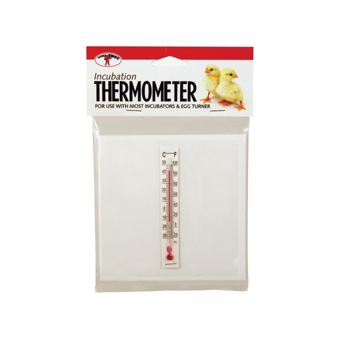 Little Giant Incubation Thermometer