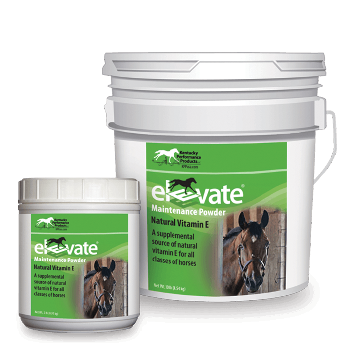 KPP Elevate Powder 2lb