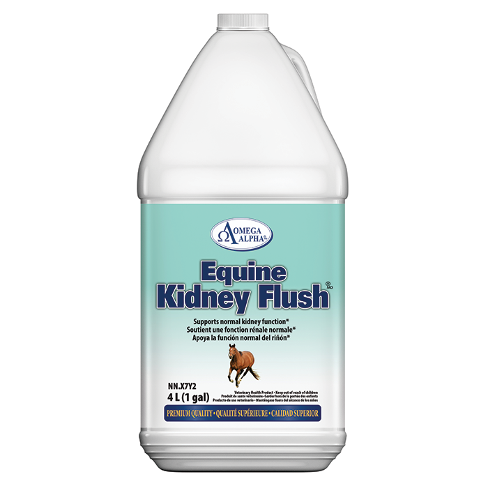 Omega Equine Kidney Flush 4L